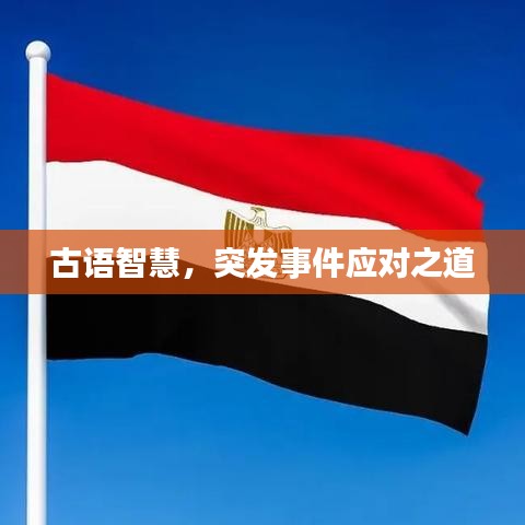 古語智慧，突發(fā)事件應(yīng)對之道