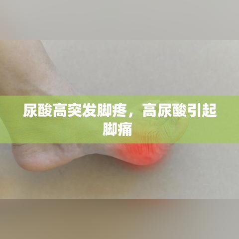 尿酸高突發(fā)腳疼，高尿酸引起腳痛 