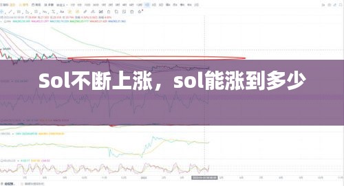 Sol不斷上漲，sol能漲到多少 