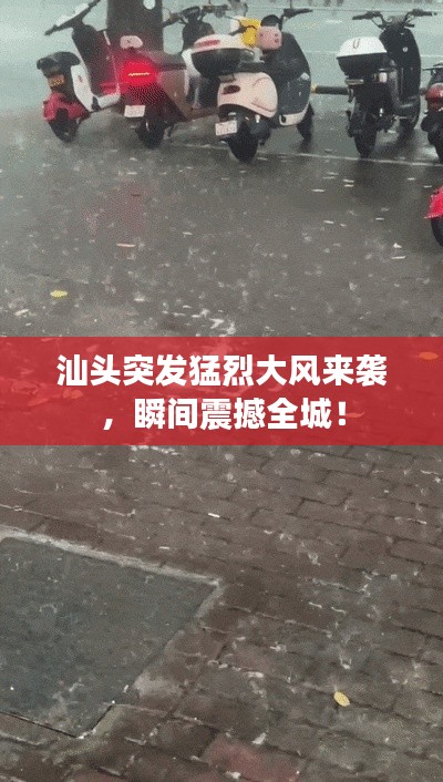 汕頭突發(fā)猛烈大風(fēng)來襲，瞬間震撼全城！