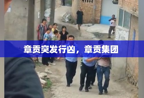 章貢突發(fā)行兇，章貢集團(tuán) 