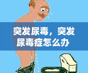 突發(fā)尿毒，突發(fā)尿毒癥怎么辦 