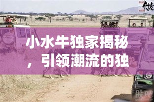 自由自在 第2頁