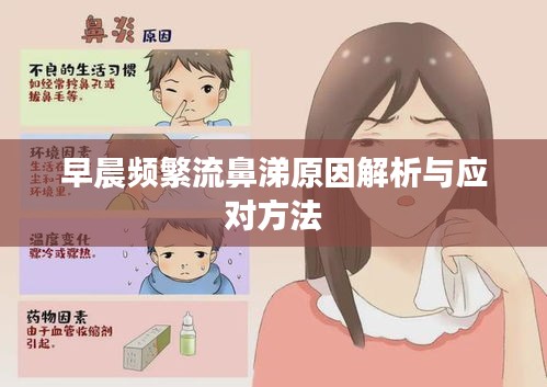 早晨頻繁流鼻涕原因解析與應(yīng)對方法
