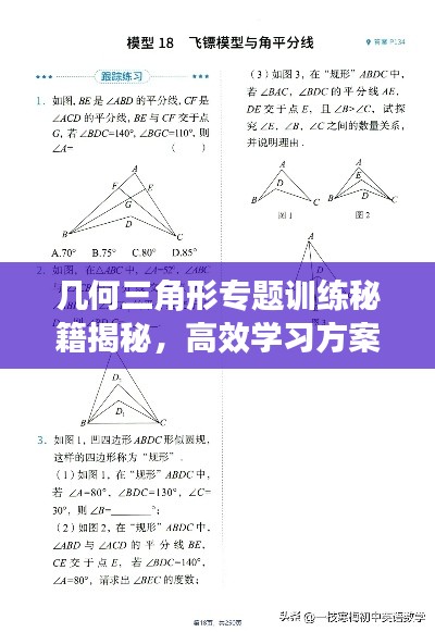 幾何三角形專題訓(xùn)練秘籍揭秘，高效學(xué)習(xí)方案與實(shí)戰(zhàn)教程
