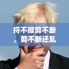 捋不順剪不斷，剪不斷還亂的下一句是什么 