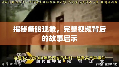 揭秘備胎現(xiàn)象，完整視頻背后的故事啟示