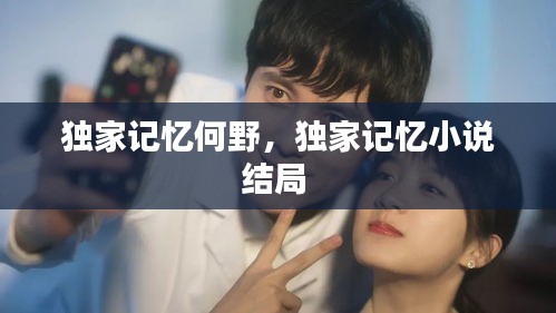 獨(dú)家記憶何野，獨(dú)家記憶小說結(jié)局 