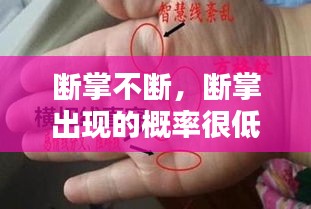 斷掌不斷，斷掌出現(xiàn)的概率很低? 