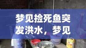 夢見撿死魚突發(fā)洪水，夢見撿個大死魚還是好的能吃 