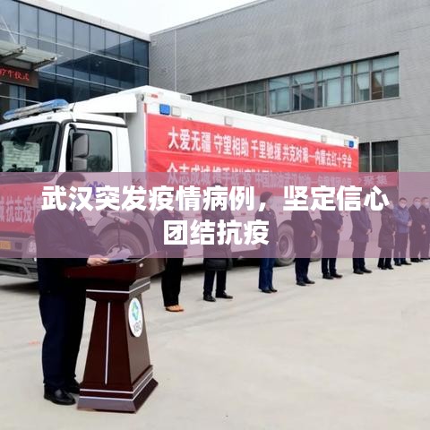 武漢突發(fā)疫情病例，堅定信心團結(jié)抗疫