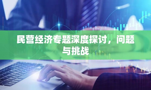 民營(yíng)經(jīng)濟(jì)專題深度探討，問(wèn)題與挑戰(zhàn)