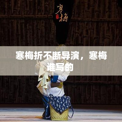 寒梅折不斷導(dǎo)演，寒梅誰寫的 