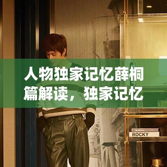人物獨(dú)家記憶薛桐篇解讀，獨(dú)家記憶薛桐發(fā)型叫什么 