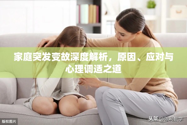 家庭突發(fā)變故深度解析，原因、應(yīng)對與心理調(diào)適之道