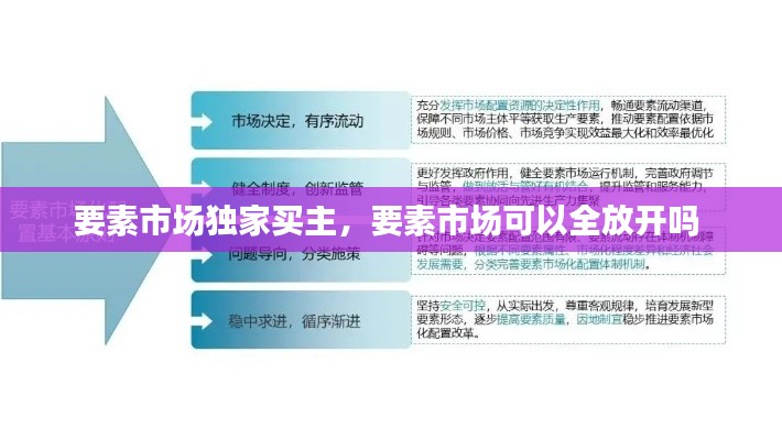 要素市場獨家買主，要素市場可以全放開嗎 