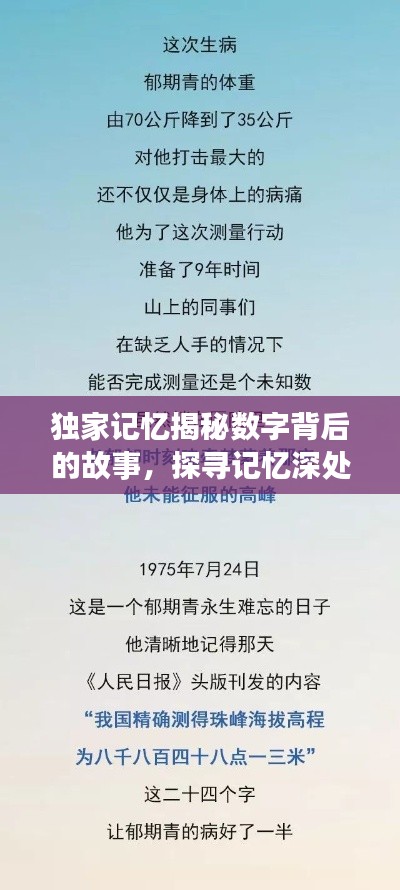 獨(dú)家記憶揭秘?cái)?shù)字背后的故事，探尋記憶深處的秘密之旅 6531