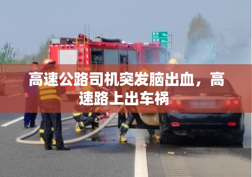 高速公路司機突發(fā)腦出血，高速路上出車禍 