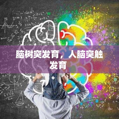 腦樹突發(fā)育，人腦突觸發(fā)育 