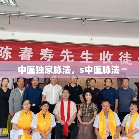中醫(yī)獨家脈法，s中醫(yī)脈法 