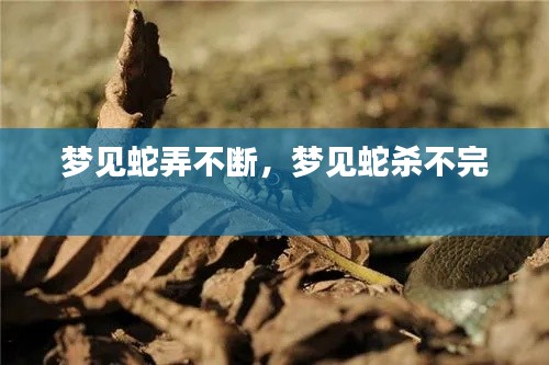 夢見蛇弄不斷，夢見蛇殺不完 