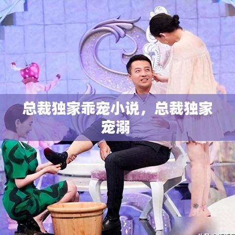 總裁獨(dú)家乖寵小說，總裁獨(dú)家寵溺 