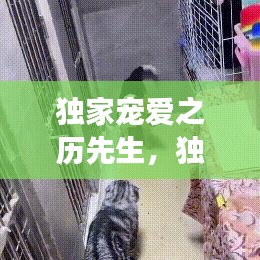 獨(dú)家寵愛之歷先生，獨(dú)家寵愛全文閱讀 