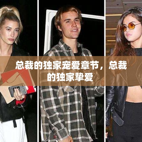 總裁的獨(dú)家寵愛章節(jié)，總裁的獨(dú)家摯愛 