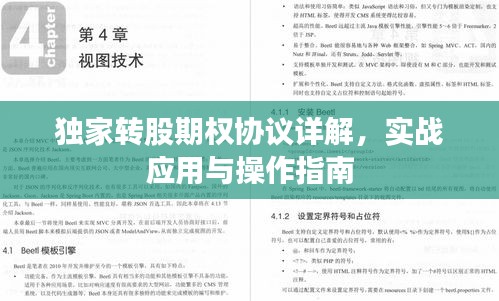 獨家轉(zhuǎn)股期權(quán)協(xié)議詳解，實戰(zhàn)應(yīng)用與操作指南