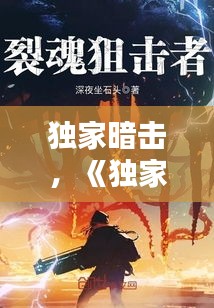 獨(dú)家暗擊，《獨(dú)家》 