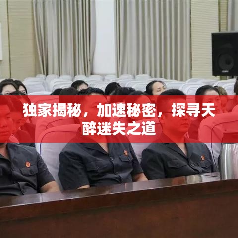 獨(dú)家揭秘，加速秘密，探尋天醉迷失之道