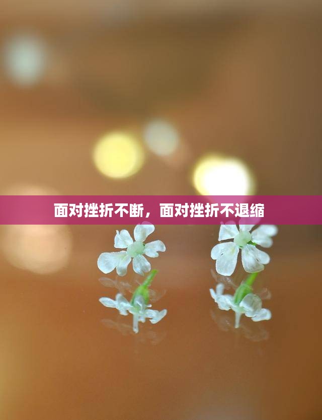 面對挫折不斷，面對挫折不退縮 