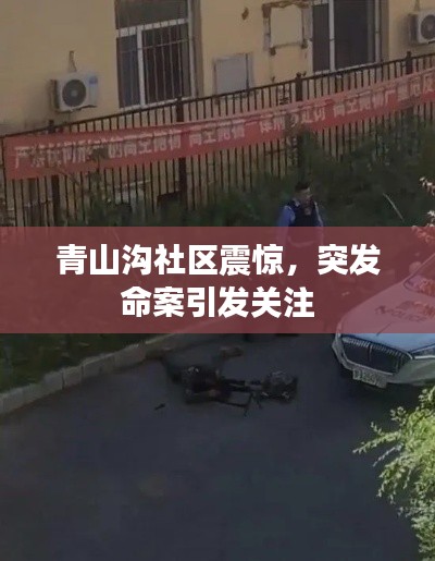 青山溝社區(qū)震驚，突發(fā)命案引發(fā)關(guān)注