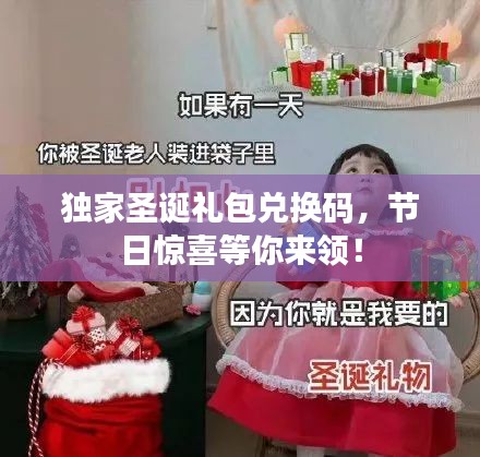 獨家圣誕禮包兌換碼，節(jié)日驚喜等你來領(lǐng)！