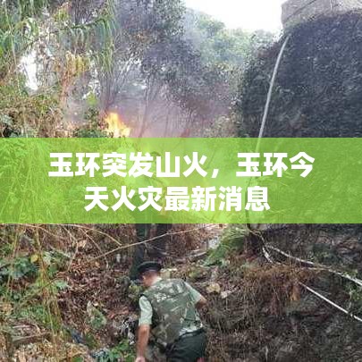 玉環(huán)突發(fā)山火，玉環(huán)今天火災(zāi)最新消息 