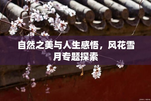 自然之美與人生感悟，風(fēng)花雪月專題探索