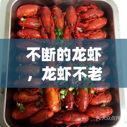 不斷的龍蝦，龍蝦不老的秘密 