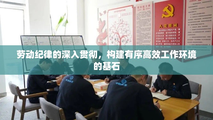勞動紀律的深入貫徹，構(gòu)建有序高效工作環(huán)境的基石