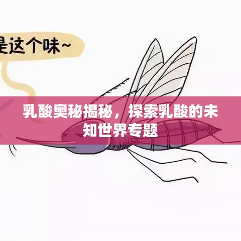 乳酸奧秘揭秘，探索乳酸的未知世界專題