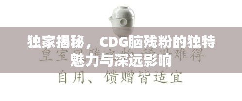 獨(dú)家揭秘，CDG腦殘粉的獨(dú)特魅力與深遠(yuǎn)影響