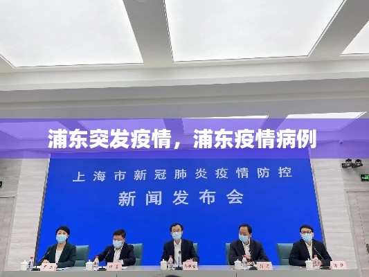 浦東突發(fā)疫情，浦東疫情病例 