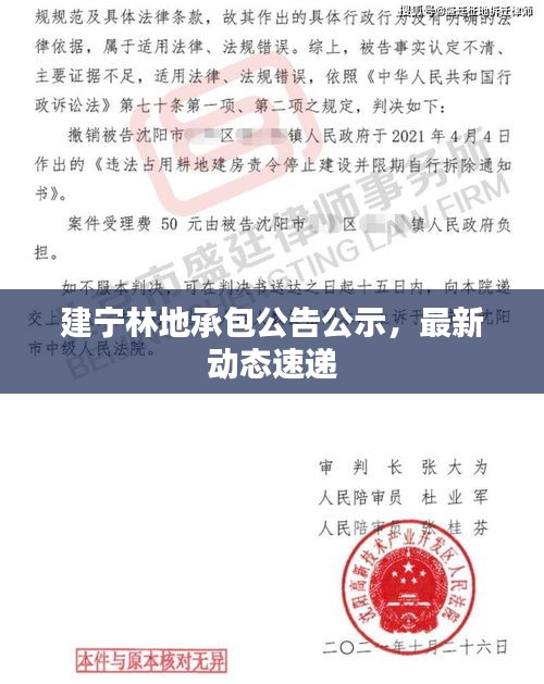 建寧林地承包公告公示，最新動態(tài)速遞