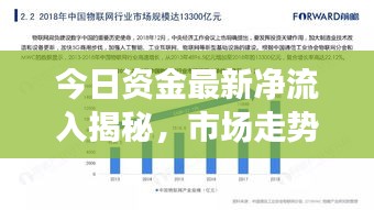 今日資金最新凈流入揭秘，市場(chǎng)走勢(shì)深度分析與預(yù)測(cè)