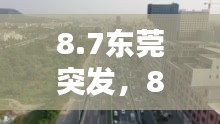 8.7東莞突發(fā)，8.13東莞 