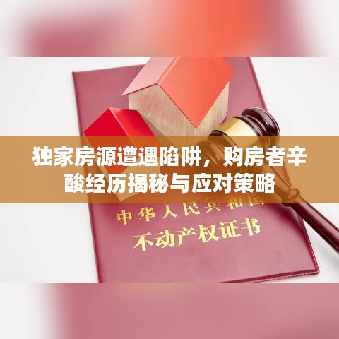 獨(dú)家房源遭遇陷阱，購房者辛酸經(jīng)歷揭秘與應(yīng)對策略