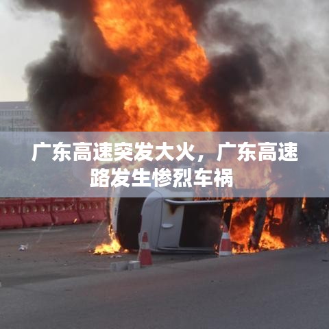 克勤克儉 第2頁(yè)