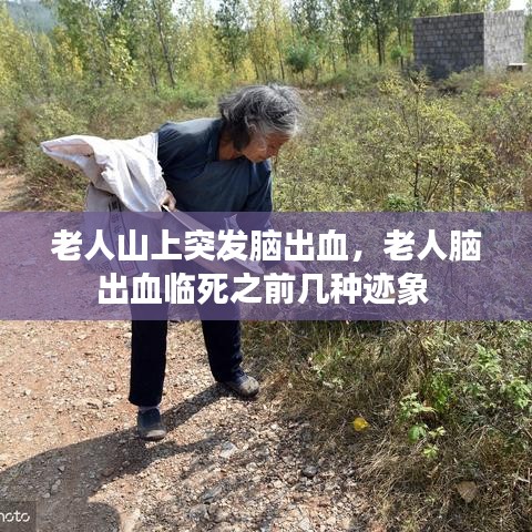 老人山上突發(fā)腦出血，老人腦出血臨死之前幾種跡象 