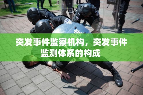 突發(fā)事件監(jiān)察機(jī)構(gòu)，突發(fā)事件監(jiān)測(cè)體系的構(gòu)成 