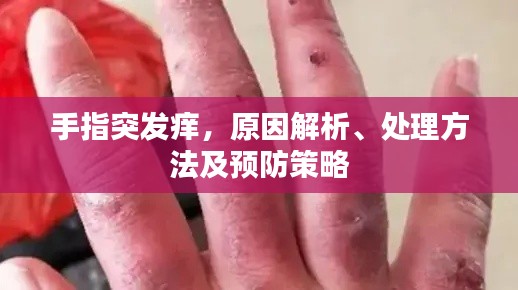 手指突發(fā)癢，原因解析、處理方法及預(yù)防策略