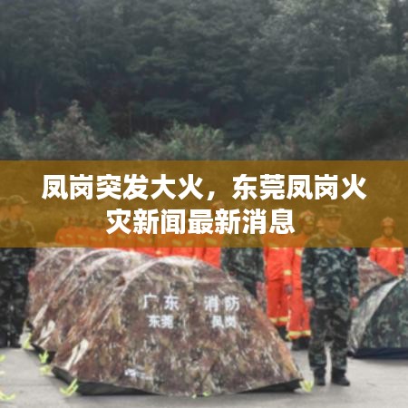 鳳崗?fù)话l(fā)大火，東莞鳳崗火災(zāi)新聞最新消息 